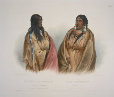 Woman of the Snake-Tribe, Woman of the Cree-Tribe by Karl Bodmer